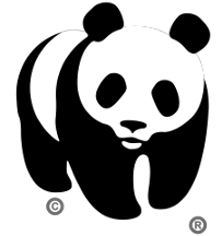 Immagine rappresentativa